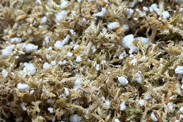 JERWTLU Sphagnum Moss for Potting Mix