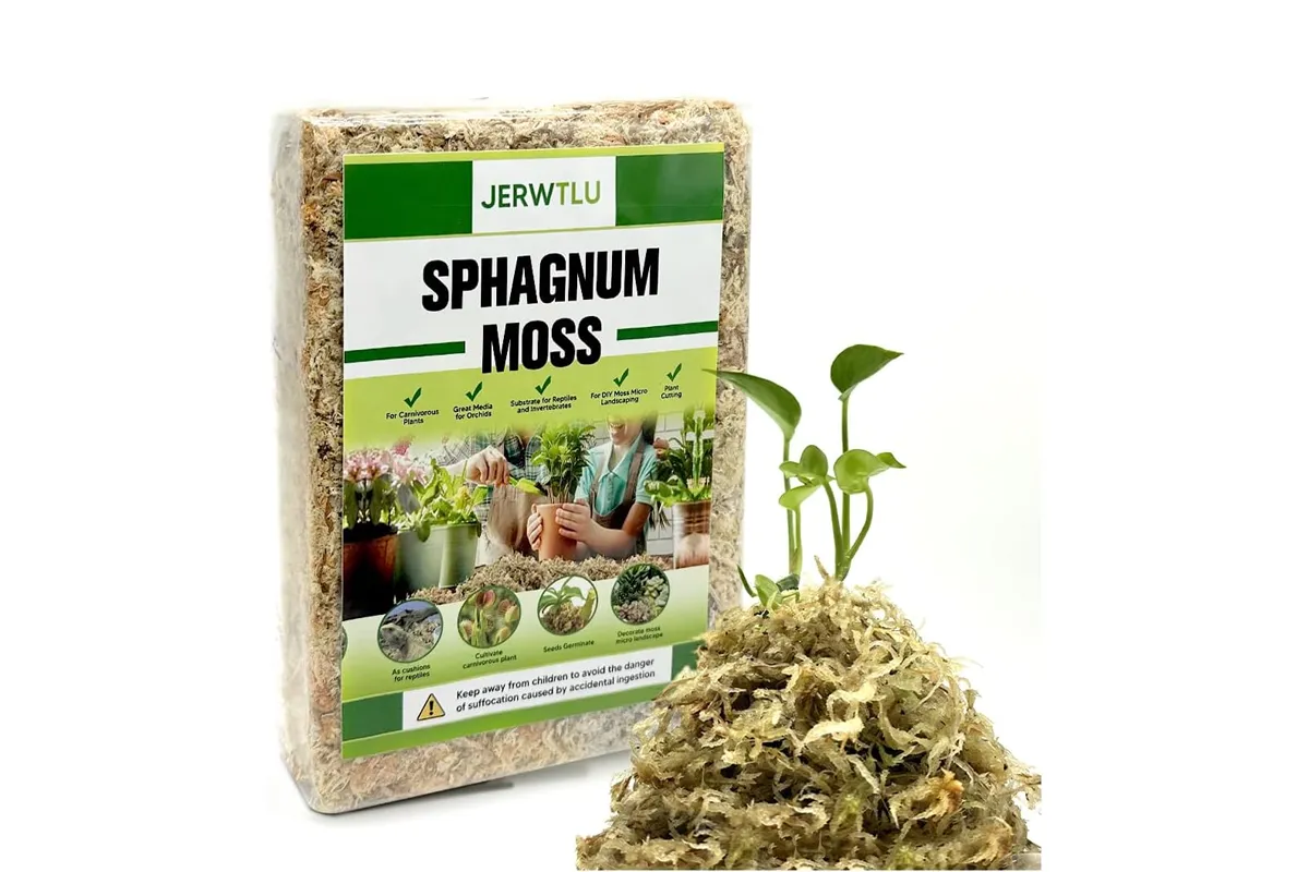 compressed sphagnum moss