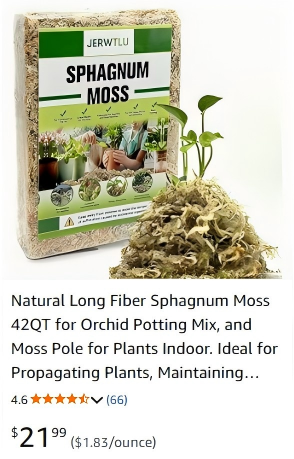 green sphagnum moss for sale