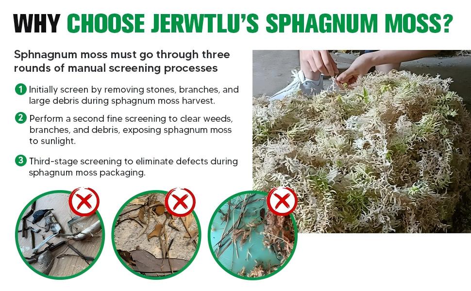 sphagnum-moss-drying-and-humidity-checking-2.jpg
