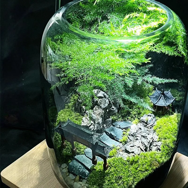 Sphagnum Moss Terrarium
