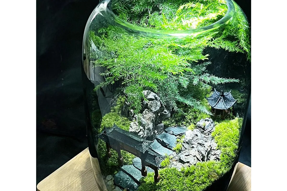 sphagnum moss terrarium