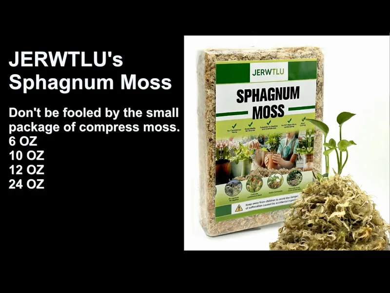 Unveiling the Truth: The Big Secret Behind Jerwtlu's Sphagnum Moss