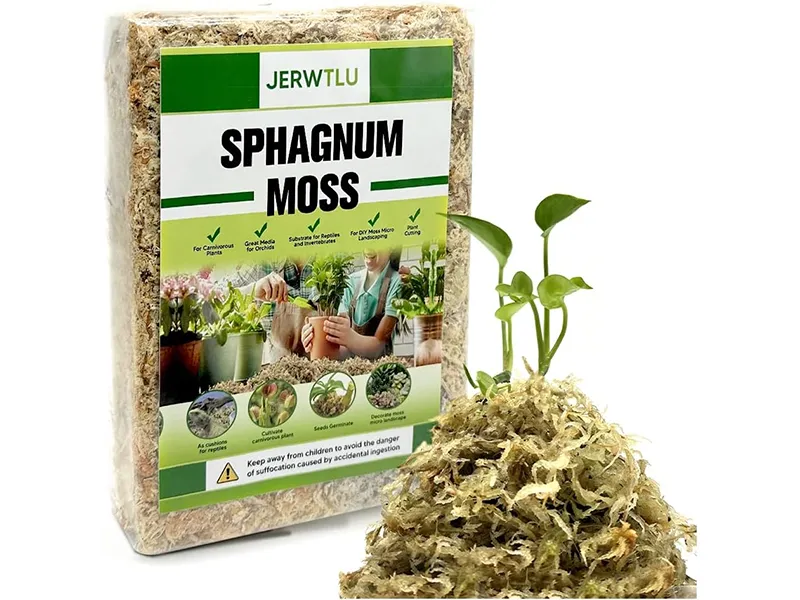 ​The Risks of Using Low-Quality Sphagnum Moss and How to Prevent Them