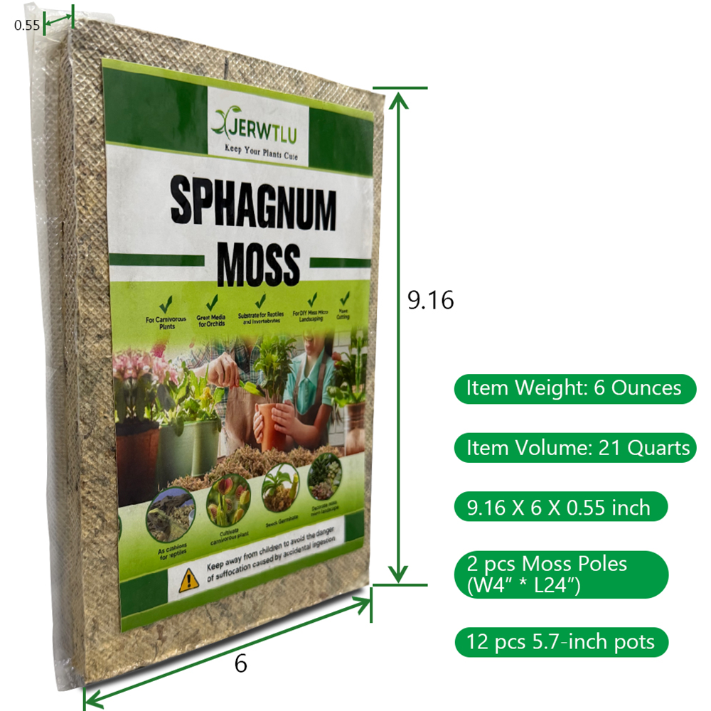 compressed sphagnum moss
