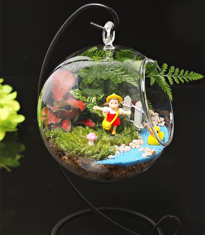 live sphagnum moss for sale