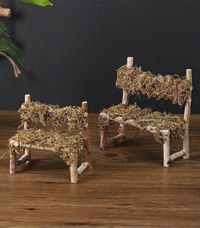 live sphagnum moss for sale