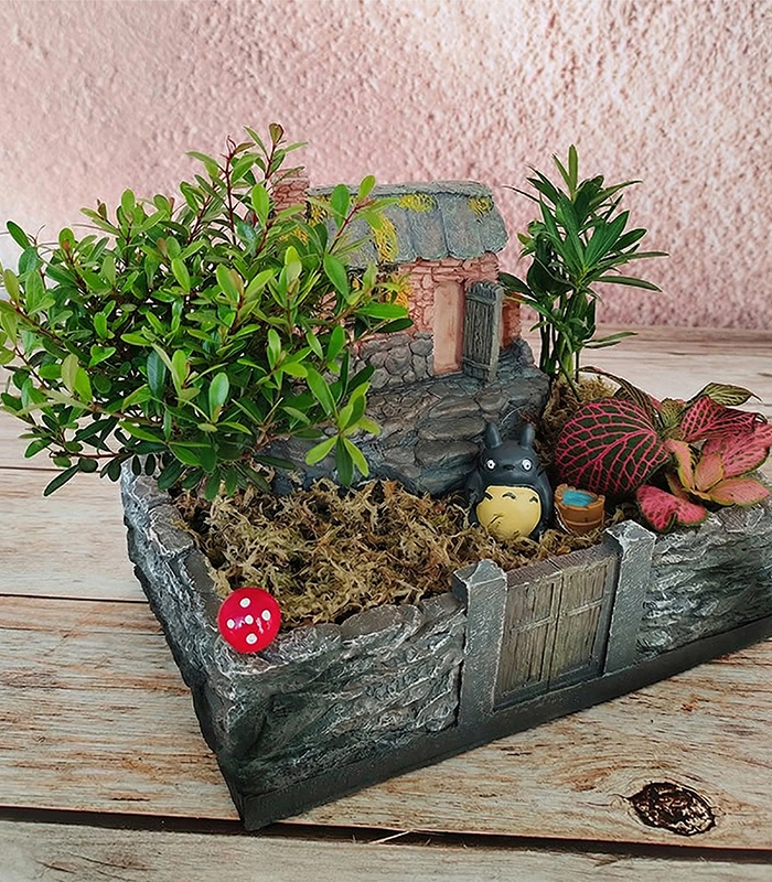 live sphagnum moss for sale