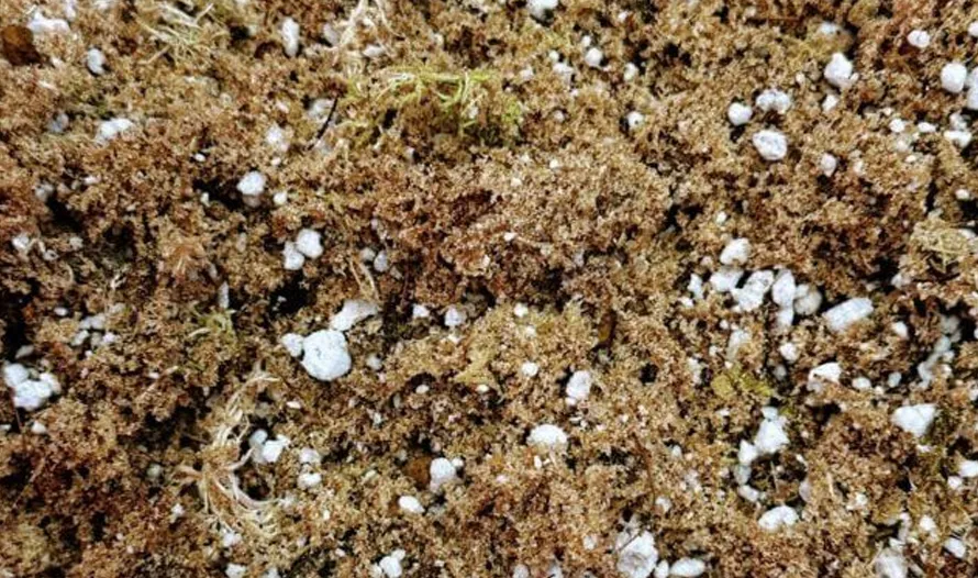 For Potting Mix